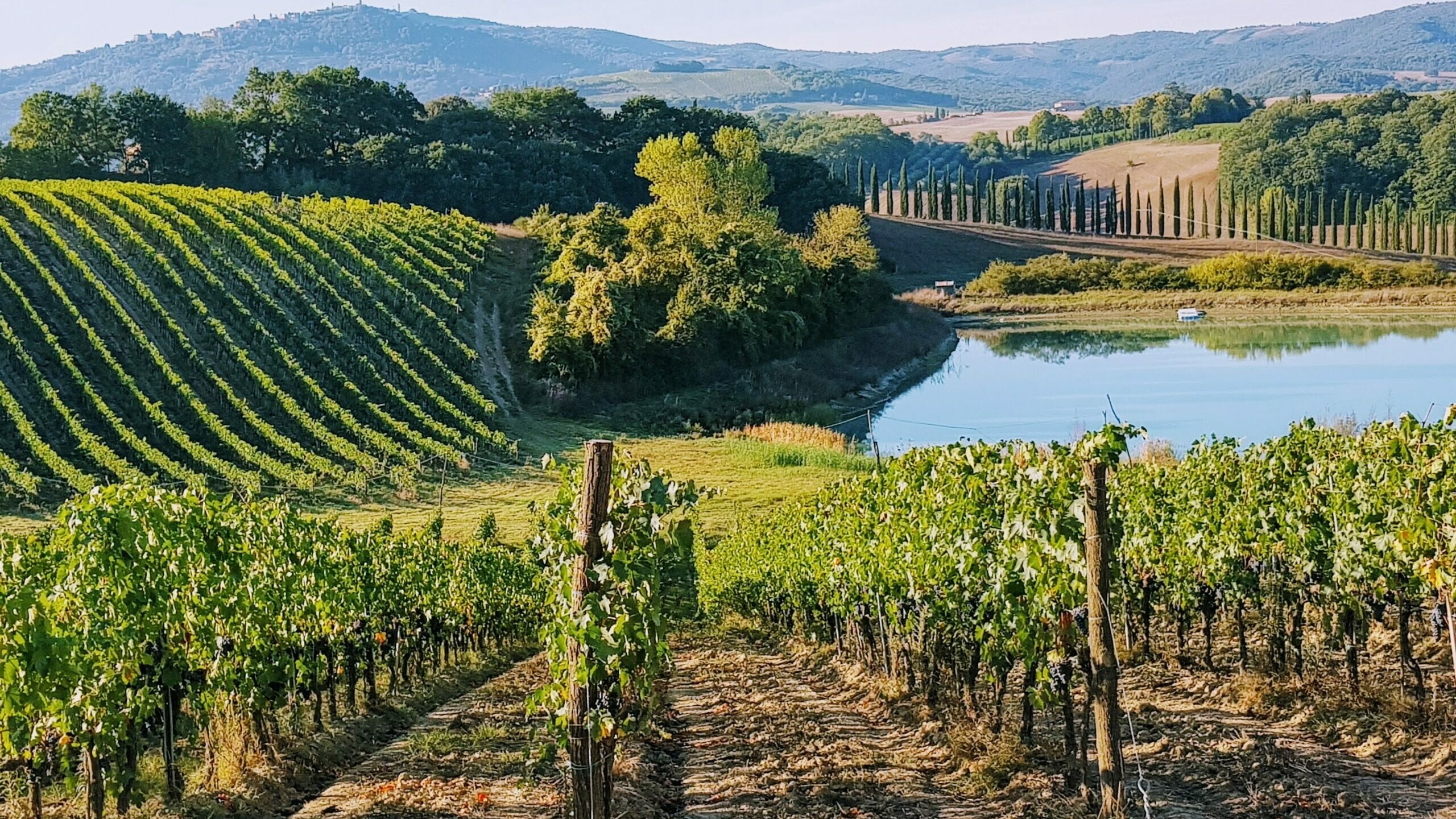 reiseguide toscana, Toscana, Veien til vin